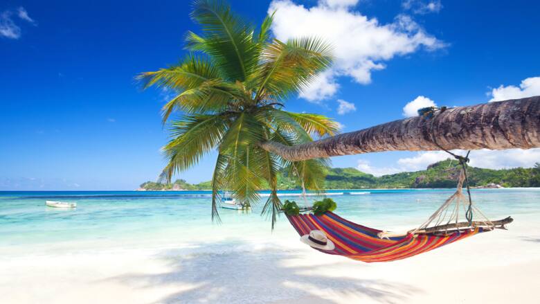 Piękna tropikalna plaża z palmą i hamakiem