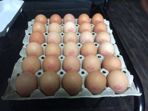 GIS ostrzega przed partiami jajek pochodzących z kurnika K-16. W artykule tym wykryto obecność pałeczek Salmonelli. Znasz ten produkt? Może masz w swojej
