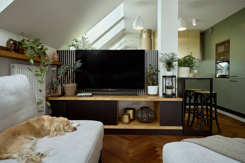Kącik telewizyjny przyda się w każdym mieszkaniu