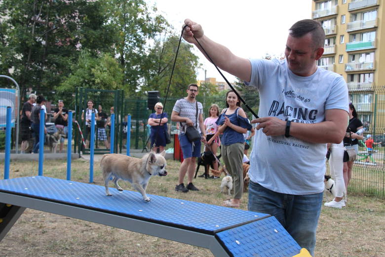 W lipcu br. trzeci wybieg dla psów w Czeladzi został otwarty na osiedlu Auby 