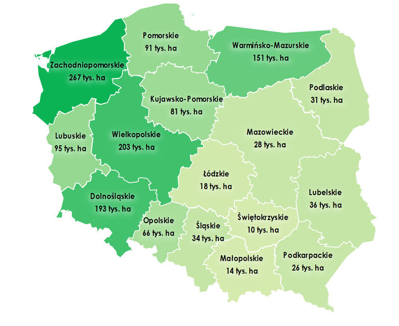 Grunty pozostające w Zasobie WRSP (1 343,6 tys. ha) wg stanu na 31 stycznia 2023 r. w podziale na województwa