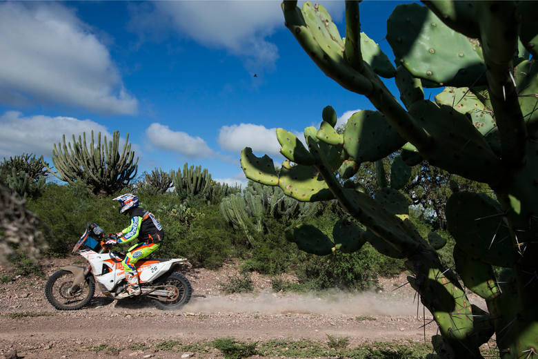 Rajd Dakar 2015.