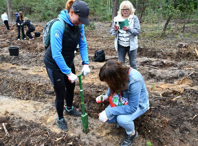 Lasy Pamięci Jana Pawła II to wyjątkowa, ogólnopolska inicjatywa skupiająca leśników i miłośników natury, której celem jest oddanie hołdu i upamiętnienie