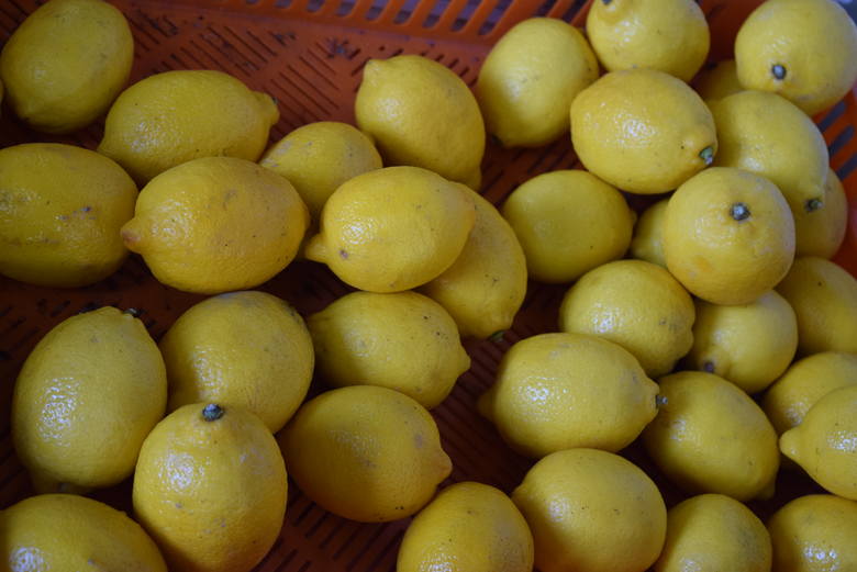 Cytryna – 2,50 zł/kg