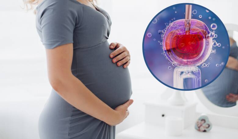 Kobieta w ciąży, zapłodnienie in vitro