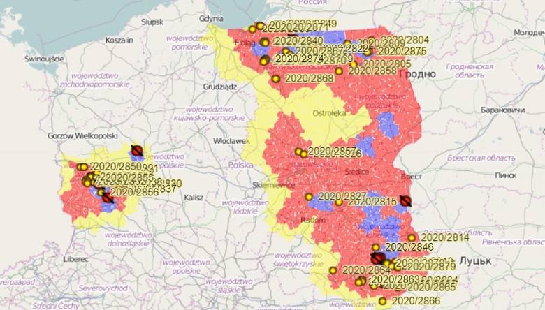Mapa ASF w Polsce - ogniska u świń i przypadki u dzików