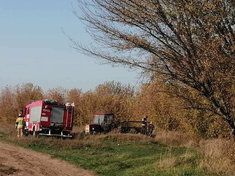 Strażacy schwytali pod Łowiczem agresywnego byka