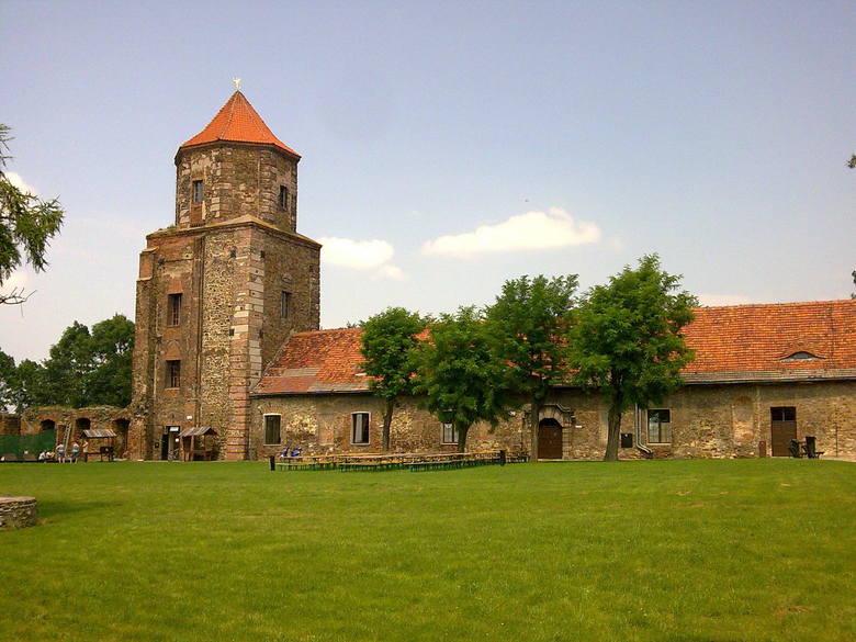 Zamek w Toszku 