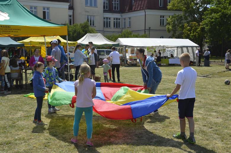 Piknik rodzinny w ZSP nr 2 w Łowiczu (Zdjęcia)