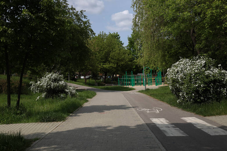 Park "Dolinka" w Olkuszu