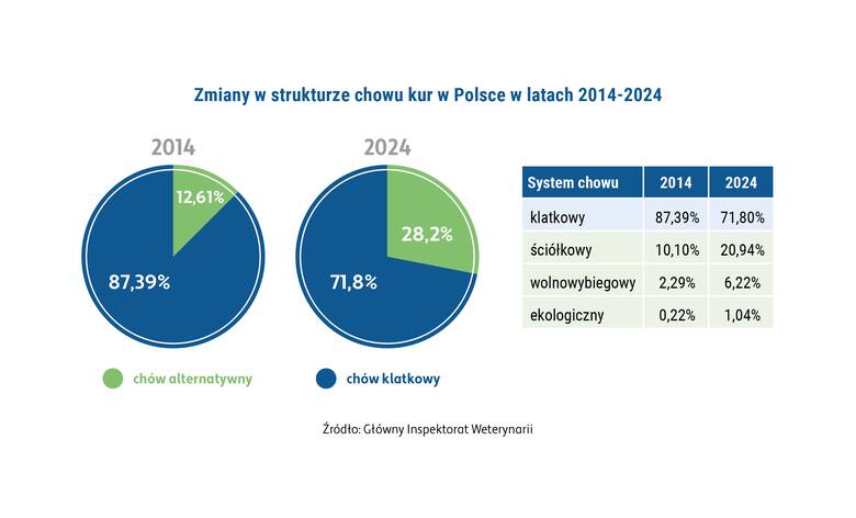 Zmiany w strukturze chowu kur w Polsce w latach 2024-2024