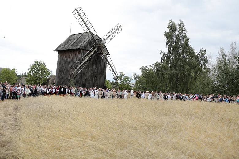 Kolorowe Łowickie Żniwa [GALERIA]