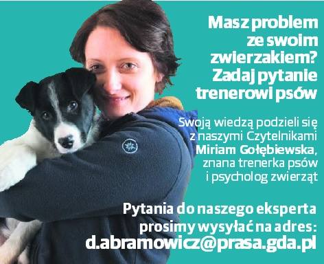 Miriam Gołębiewska, trenerka psów: Ścisła hierarchia w świecie zwierząt to mit