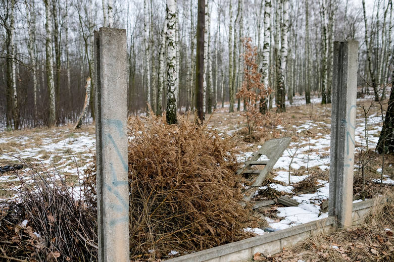 W lesie, gdzie niedawno trwała wycinka drzew, stoją także słupy betonowe 