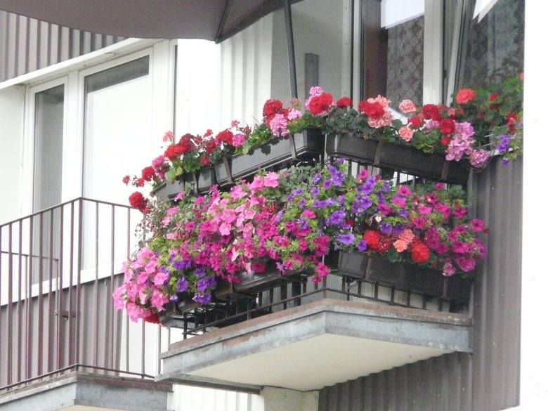 Balkon Stanisława Klemby