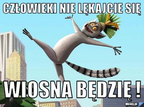 Pierwszy dzień wiosny 2021 w MEMACH. 50 najlepszych memów na 21 marca