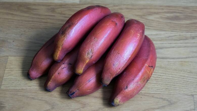 Dojrzałe banany mają ciemnoczerwoną skórkę. Jeśli kupimy jaśniejsze, musimy się liczyć z tym, że będą miały cierpki smak i trudno będzie je obrać. Mniej