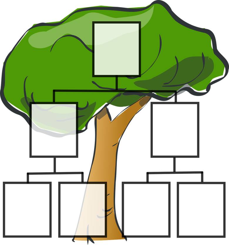 Drzewo Genealogiczne Wzor Jak Narysowac Drzewo Genealogiczne Rodziny 4 03 Expressbydgoski Pl