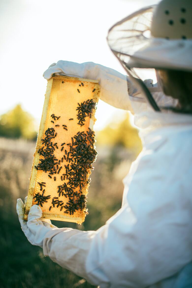 Pszczelarstwo to nie tylko praca, ale też sposób na życie.