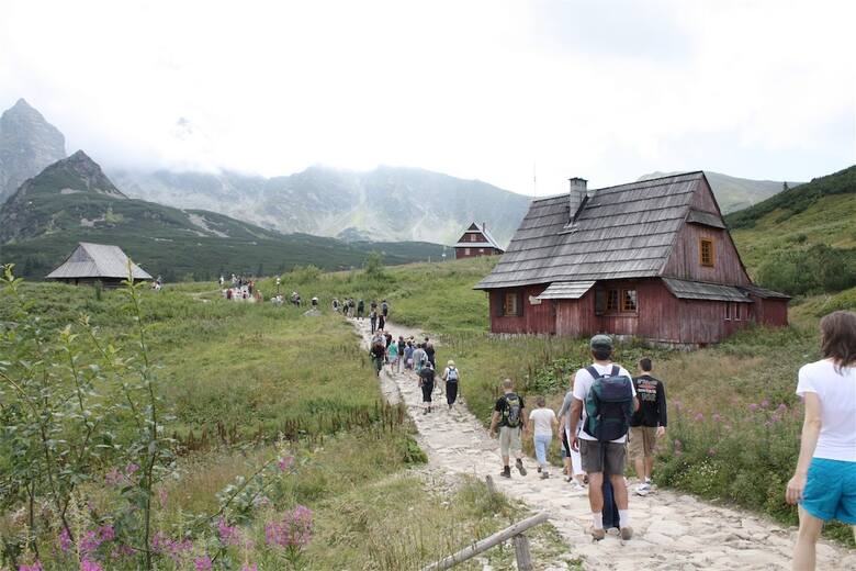 Turyści na szlaku w Tatrach