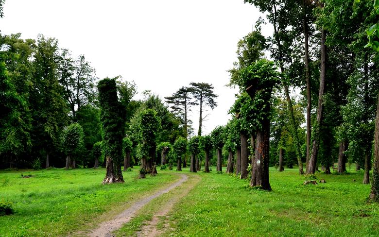 Wiecie, że poszczególne części ogrodu otrzymały nazwy własne? Najstarsza (barokowa) część parku zwana jest dzisiaj Małym Parkiem.