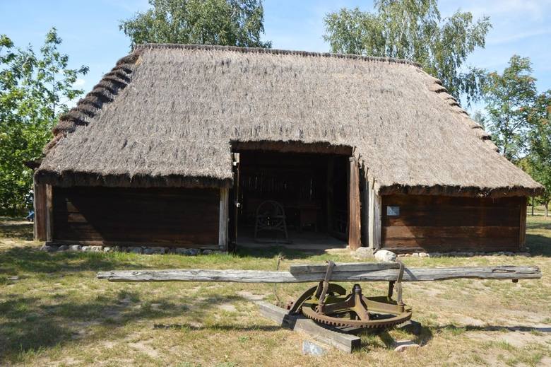 Muzeum w Łowiczu zaprasza na majówkę do skansenu w Maurzycach [ZDJĘCIA]