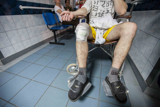 250-kilogramowy tucznik zranił rzeźnika w prawe kolano.