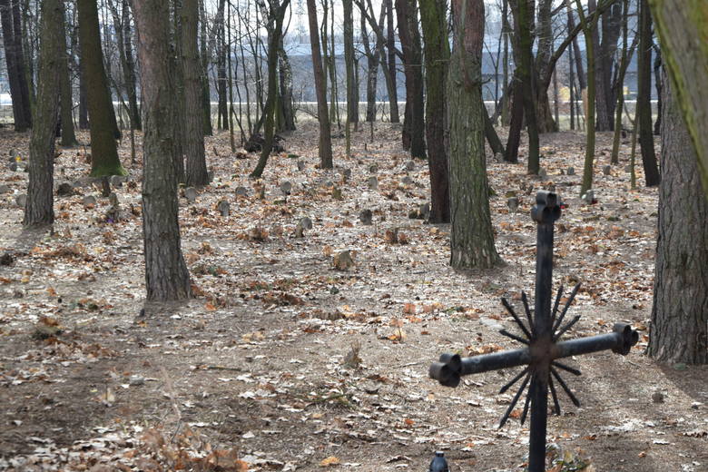 Kto niszczy dawny cmentarz pacjentów szpitala psychiatrycznego w Rybniku?