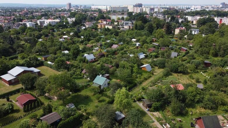 Na terenie Rzeszowa jest 26 ogrodów działkowych. Działkowcy pragną zachować je w obecnych lokalizacjach