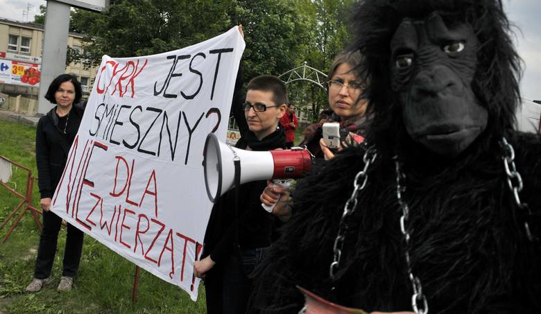 Jeden z protestów obrońców zwierząt odbył się przed wejściem do cyrku w Krakowie.