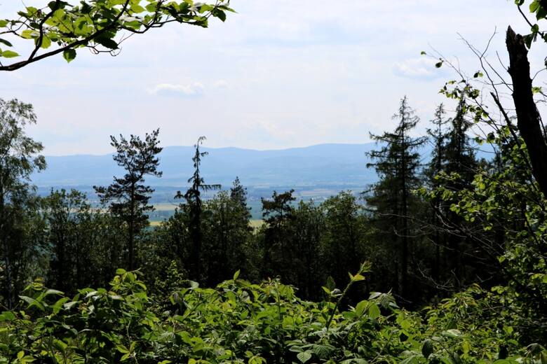 Ścieżka edukacyjno-przyrodnicza Wzgórza Kiełczyńskie ma kamieniste podłoże i kilka stromych podejść. Atrakcją ścieżki są przede wszystkim wspaniałe widoki.