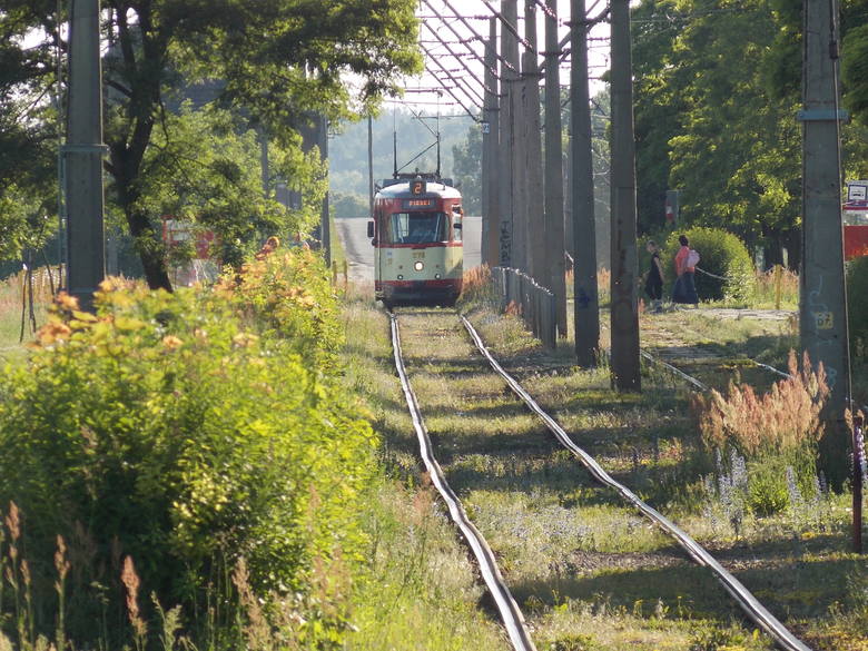 Gorzowskie tramwaje na zdjęciach reportera "GL"