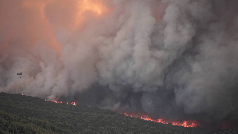 Pożary w Grecji. Media podają, że spłonęło wiele tysięcy lasów