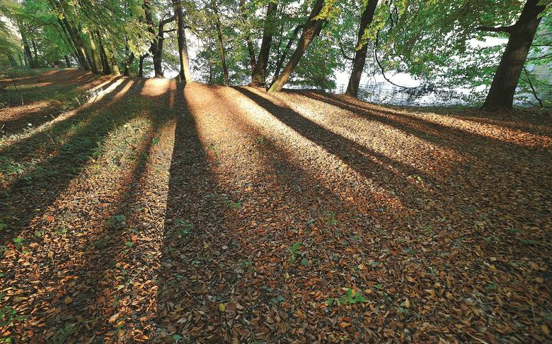 Łagowsko-Sulęciński Park Krajobrazowy niepowtarzalnego klimatu nabiera jesienią. Cóż, rośnie tutaj wiele buków, a te wspaniale się przebarwiają, a później