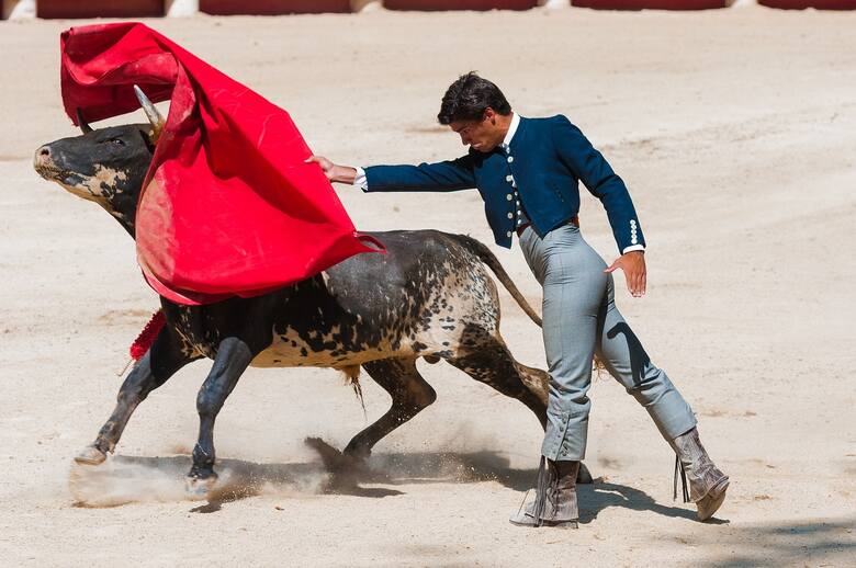 Gonitwy byków są tradycją w Pampelunie i całej Hiszpanii. Znowu ucierpieli ludzie