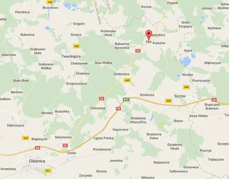 Śmiertelny wypadek pod Oleśnicą. Nie żyje 88-latek