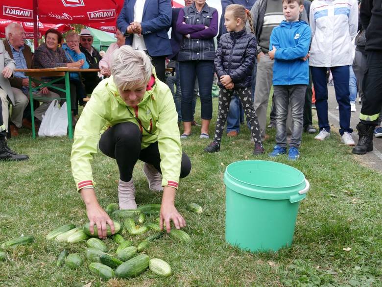 Zbieranie ogórków na czas to jedna z konkurencji, która od lat rozgrywana jest w Piotrkowicach.