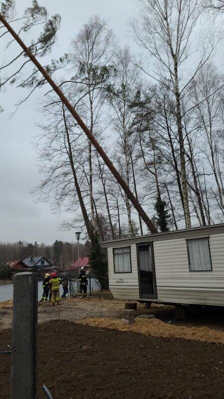 Drzewo przewrócone na domek letniskowy w skutek silnego porywu wiatru, miejscowość Rokitki (gmina Chojnów)