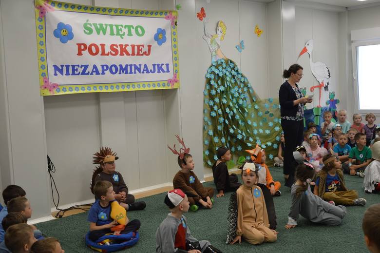 Święto Polskiej Niezapominajki w Przedszkolu nr 3 w Skierniewicach [ZDJĘCIA]