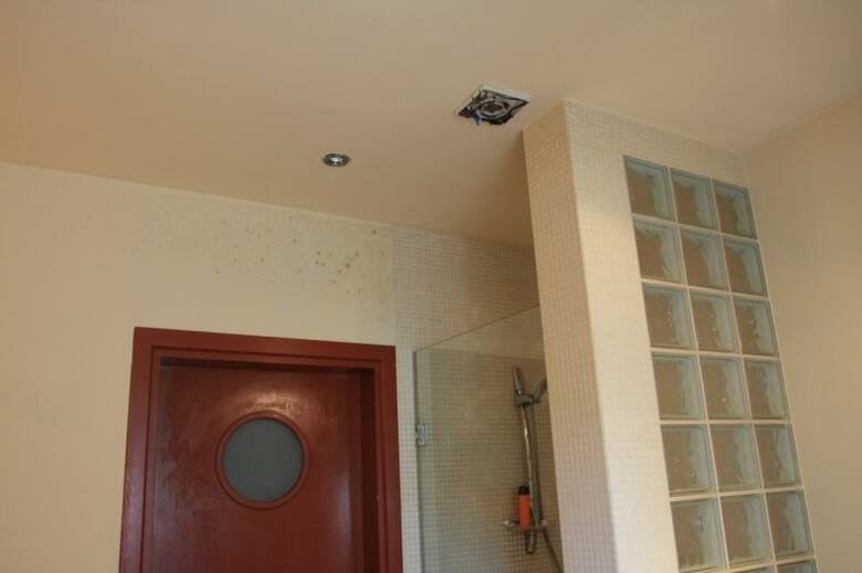 Nadmiar wilgoci w pomieszczeniu może doprowadzić do wykwitów na ścianie a nawet do pleśni i grzyba.