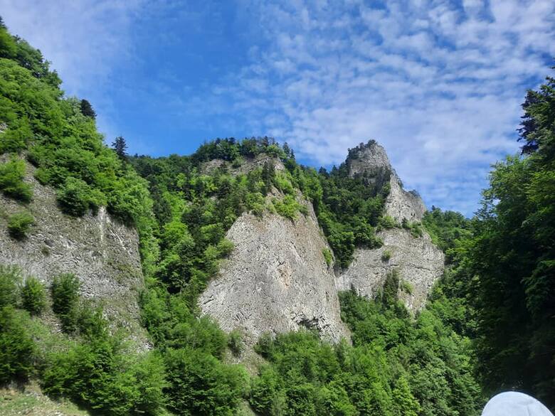 Dolina Dunajca - malownicze skały i drzewa