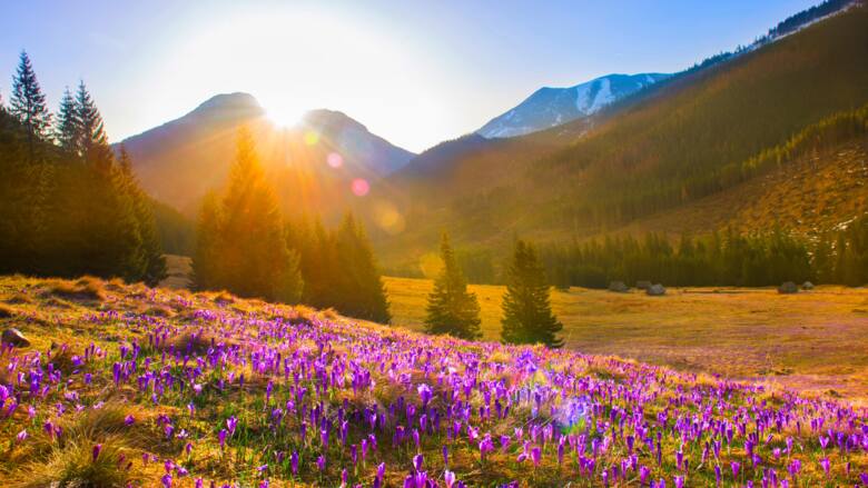 Piękna wiosna w Tatrach
