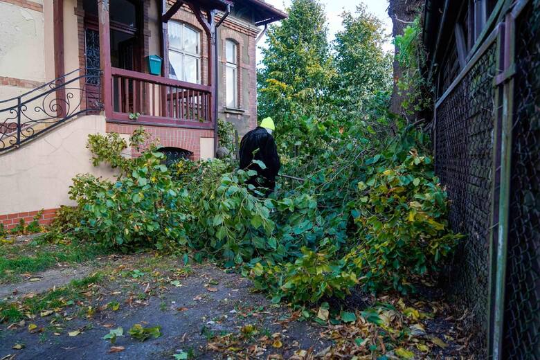 Drzewo złamane przez wiatr uderzyło w dach domu w Gdańsku Brzeźnie