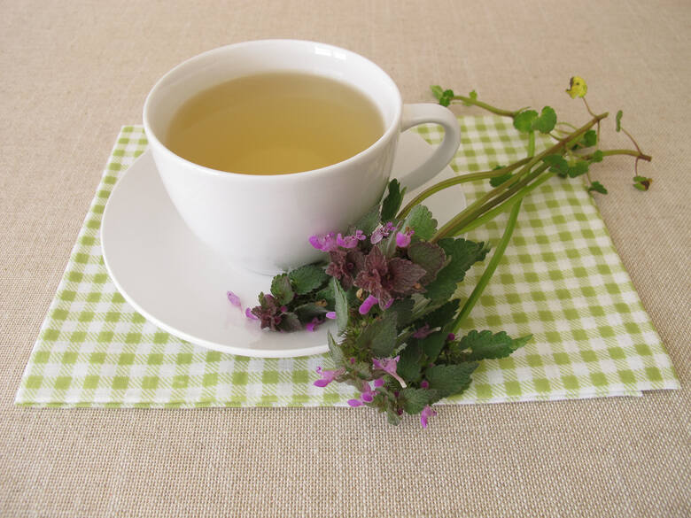 Herbatka z jasnoty purpurowej łagodzi objawy przeziębienia i wzmacnia organizm.