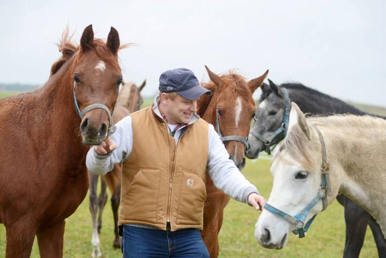 Przemysław Sawicki jest właścicielem stadniny koni w Kalsku i prywatnym hodowcą koni arabskich. Ma ich w stadninie 17.