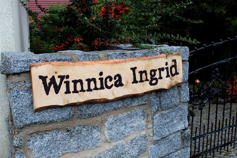 Ingrid jest jedną z najstarszych winnic w regionie lubuskim.