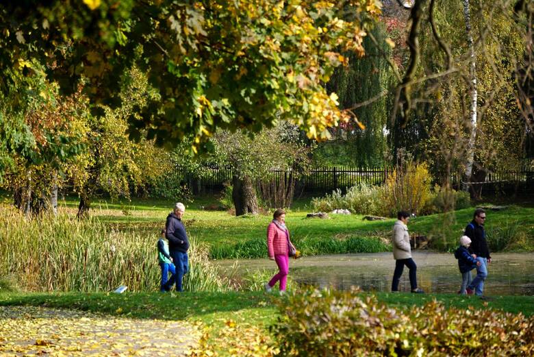 Jesień w ogrodzie botanicznym w Lublinie