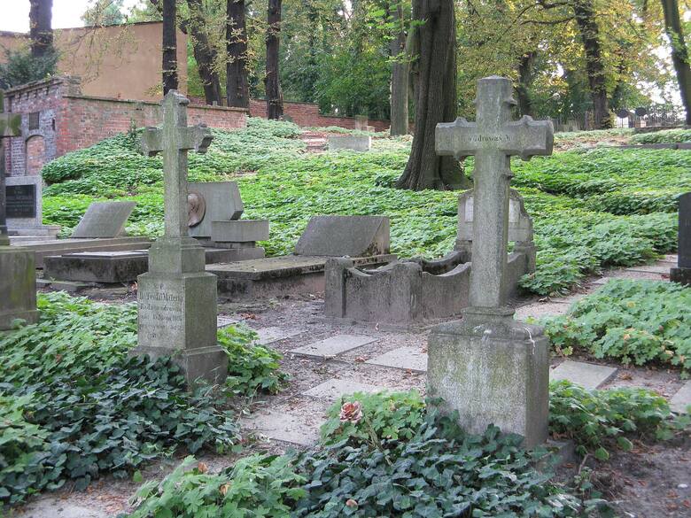 Cmentarz Zasłużonych Wielkopolan, Poznań