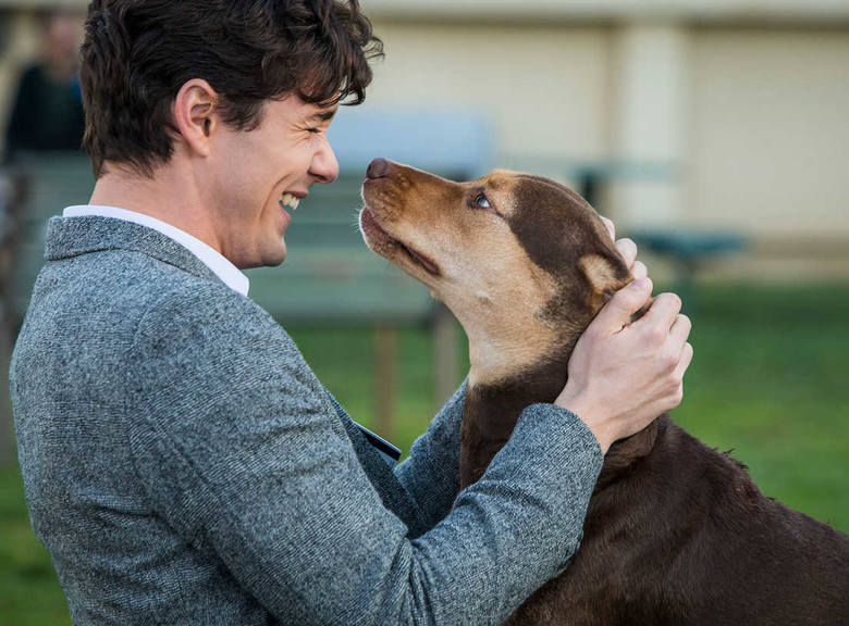Kino Muza zaprasza na film familijny „O psie, który wrócił do domu”, dramat „Narodziny gwiazdy” i komedię romantyczną „Całe szczęście”  