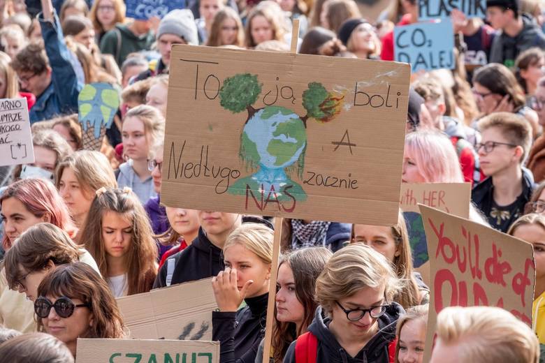  Ekolodzy, aktywiści a także członkowie Młodzieżowego Strajku Klimatycznego przekonują, że by mówić o tym, że firma jest ekologiczna konieczna jest zmiana filozofii działania, a nie przemalowanie tła logo na zielone. <br /> 